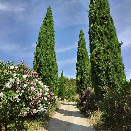 Maison Chemin D'Uzes Blauzac  Ngoại thất bức ảnh