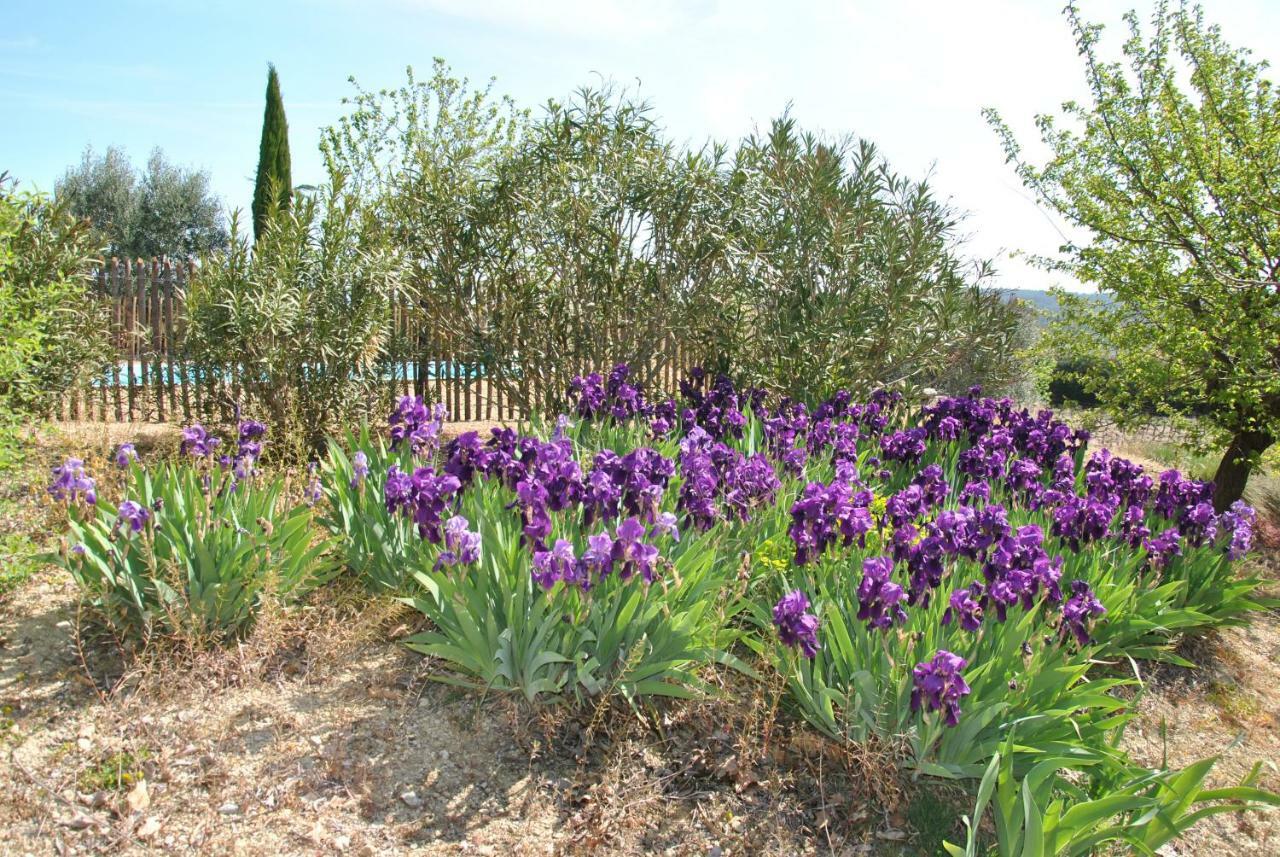 Maison Chemin D'Uzes Blauzac  Ngoại thất bức ảnh